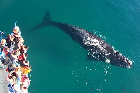 paquetes puerto madryn