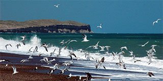 playa el condor